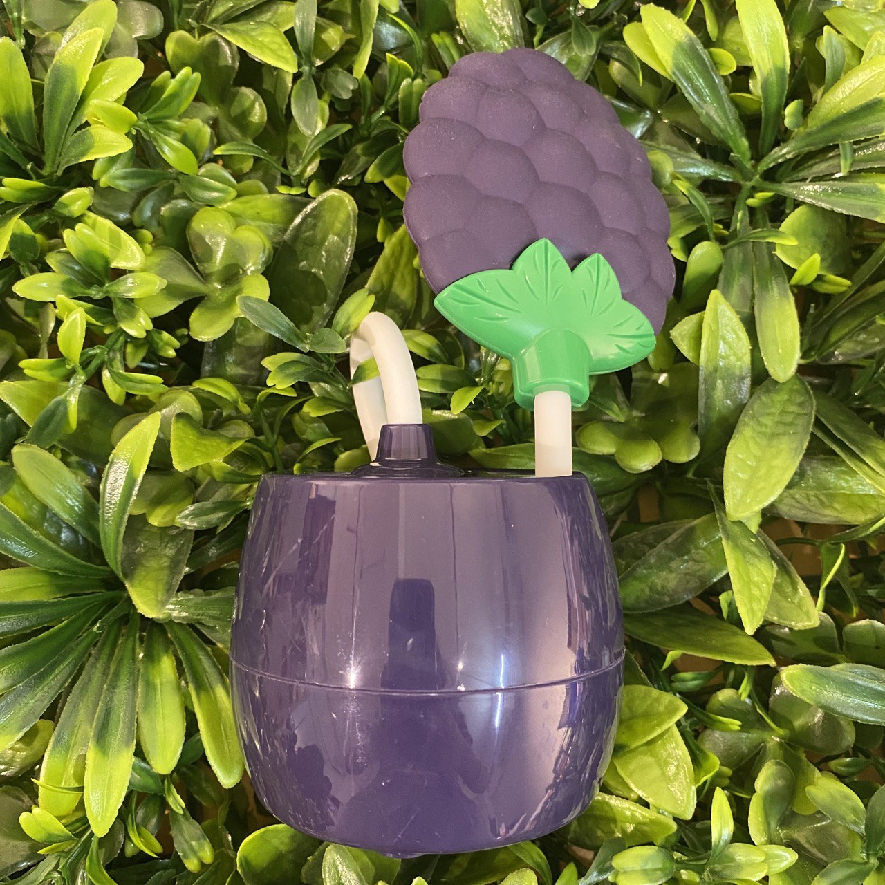 Fruit Table Lamp